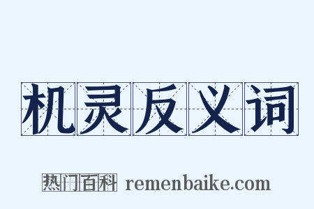 机灵反义词是什么意思的图片
